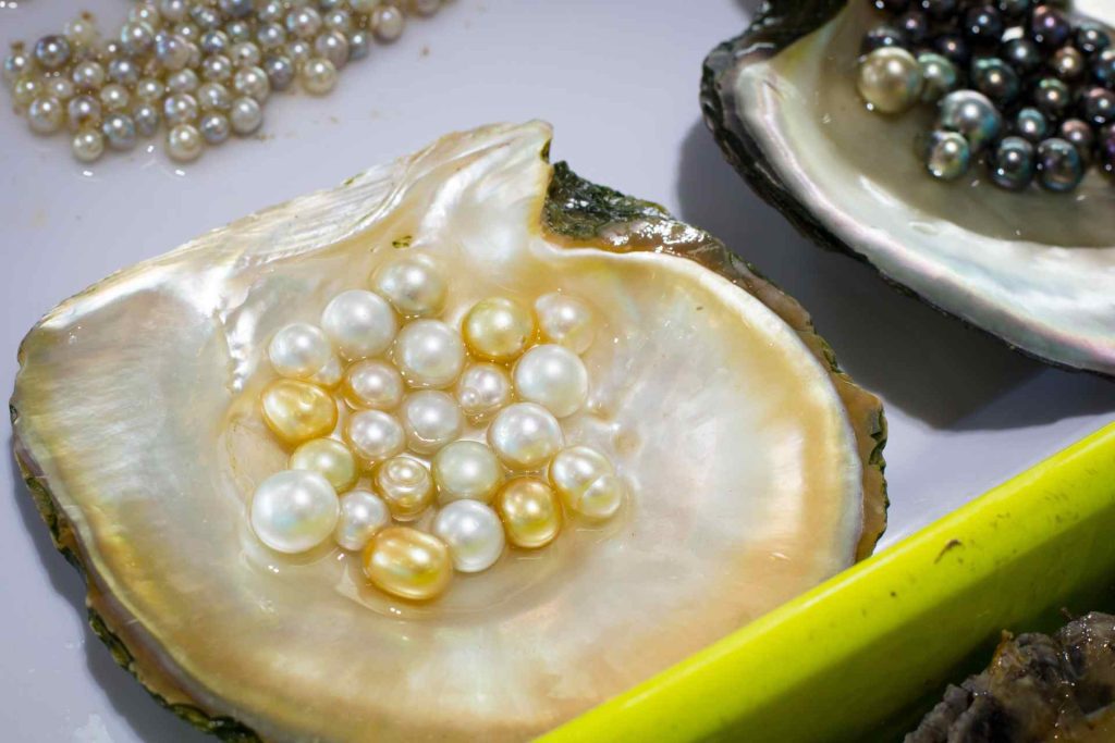 Phu Quoc Pearl Farms 