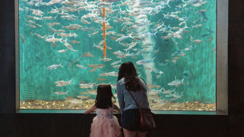 Phu Quoc Aquarium