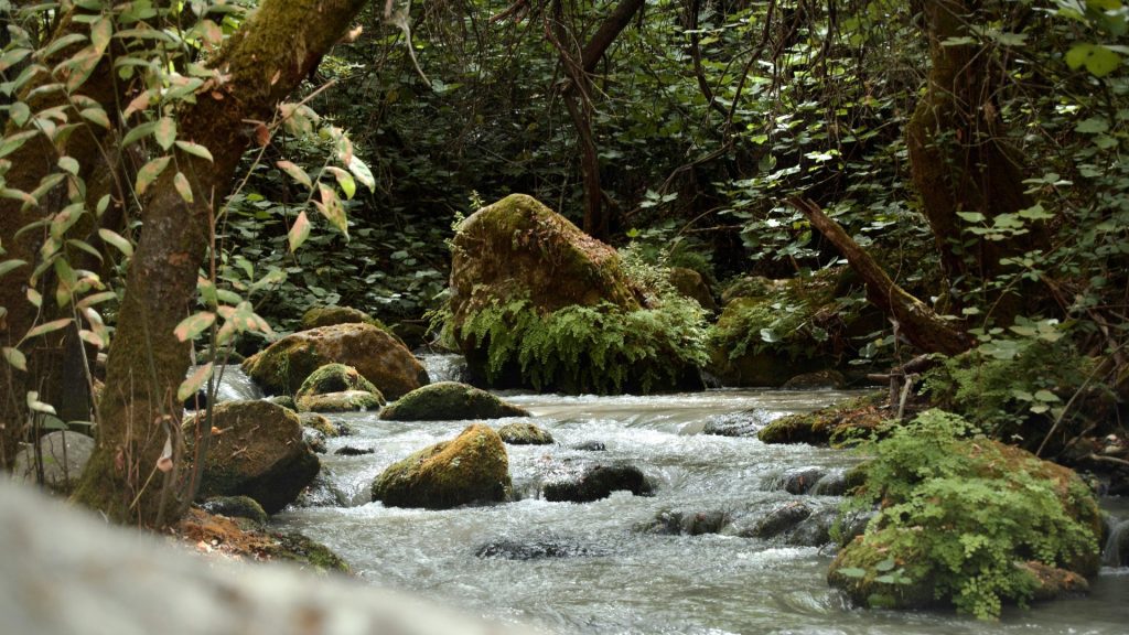 Visit and Bathe in the Refreshing Streams