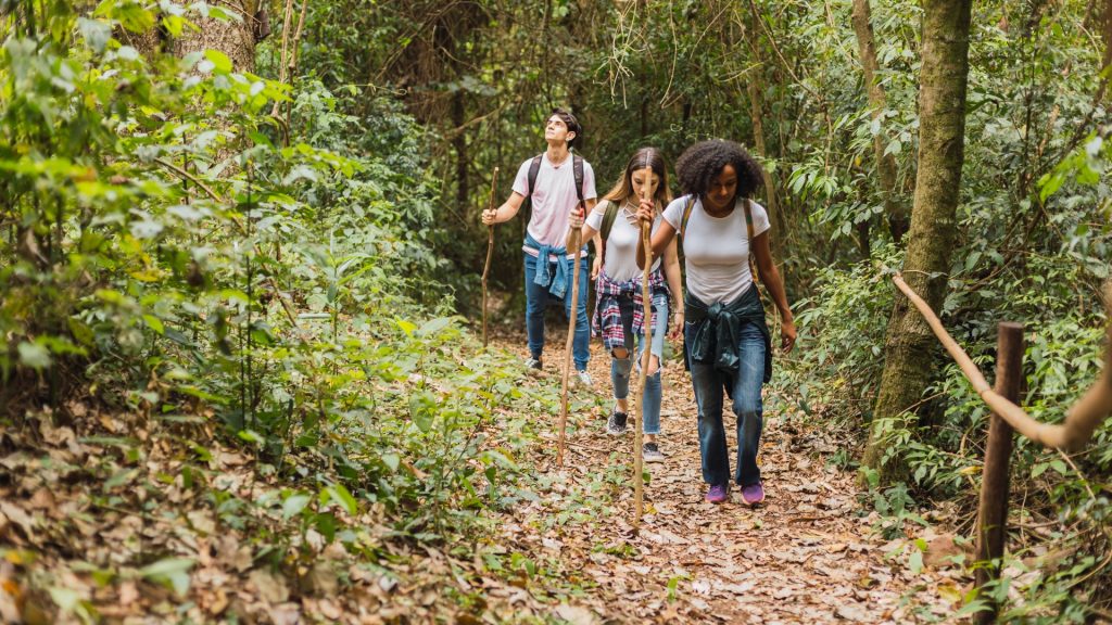 How to Get to Phu Quoc National Park